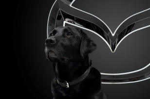 Bild von Marley :-*