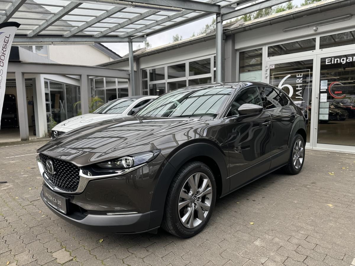 Mazda CX-30 150PS - AHK, Allrad - Matrix LED, BOSE, LEDER, 360* Ka