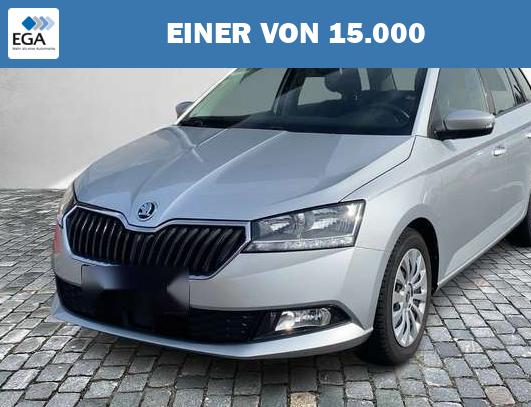 Skoda Fabia Combi 1.0 TSI Ambition *Winter Paket*SpurW